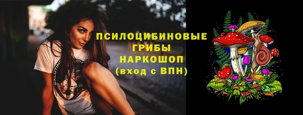 соль ск Гусиноозёрск
