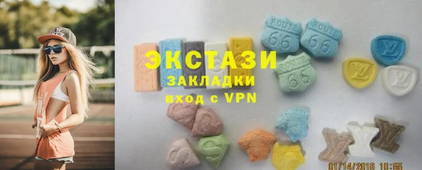 прущие грибы Гусев