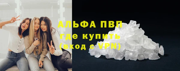 прущие грибы Гусев