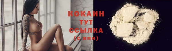 прущие грибы Гусев