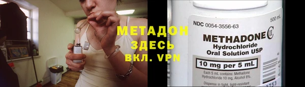 прущие грибы Гусев