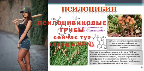 МДМА Дмитровск