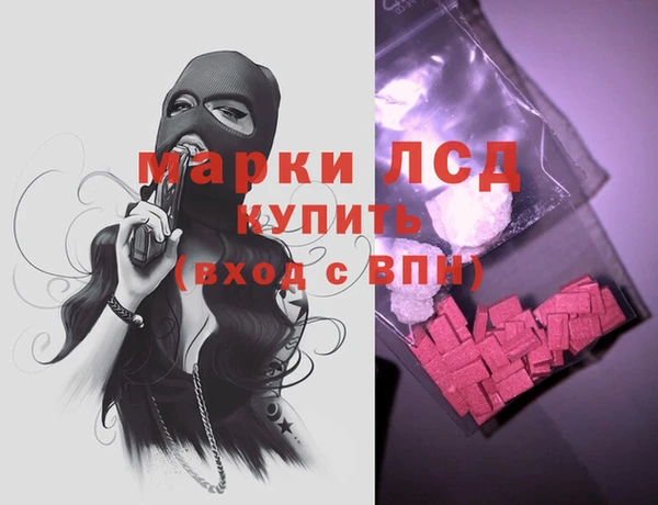 прущие грибы Гусев