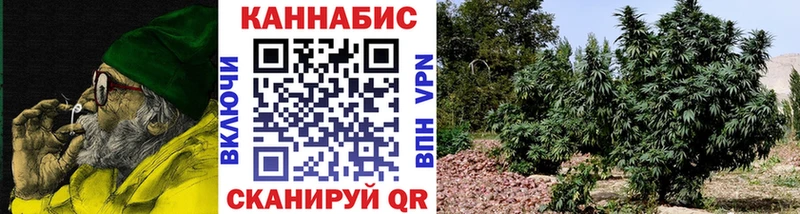 Каннабис Amnesia  Купить закладки  Качканар 